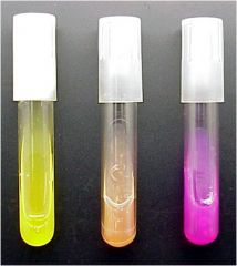  What change in pH is indicated by the color change in the positive tube, and what metabolic end product is responsible?  