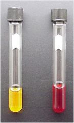   Which of these tubes contains organisms that test positive for the Voges Proskauer test?  