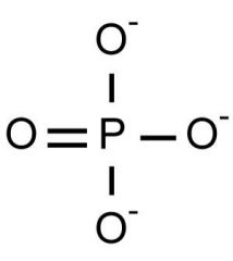 - organic phosphates
- contribute negative charge to part of molecule it's on
- have potential to react w/ water, releasing energy