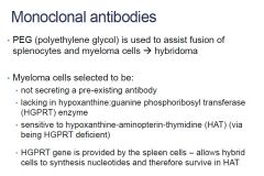 polyethylene glycol and assists the fusion of spleen cells and myeloma cells to form the hybridoma