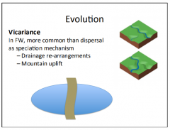 A form of allopatric speciation.


There are two forms of speciation; Dispersal and Allopatry