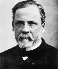 Réalisations de Louis Pasteur