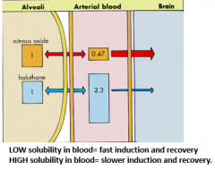 Low = fast induction and fast recovery
High = slow induction and slow recovery