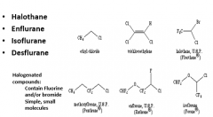 Simple, small molecules that are halogenated (usually with fluorine or bromide)