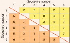Jämför två homologa AS-sekvenser
Sätt in "gaps" för att se var evolutionära deletioner eller inserts av AS skett.
Jmf sekvenserna genom att räkna nukleotider/AS som skiljer dem åt.

Skapa en Similarity Matrix genom att sammanfatta likheter...