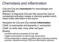C3a and C5a: 
‘anaphylatoxins’