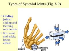 Gliding Movement joint type