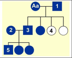 The pedigree in the picture best depicts what type of disease (dark circle/square indicates disease)?