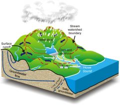 What is the WATERSHED?
