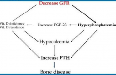 - Phosphate
is elevated in CKD and, with calcium, Is needed normally for
maintaining bone health. However, too much phosphate can upset the
balance and lead to thinning of bones  