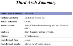 Inferior parathyroid and thymus