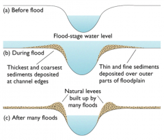 - in times of floods, water and sediment come out of the channel as the river overflows its bank
- the water immediately loses velocity and as it leaves the channel the largest sediment is deposited first, on the banks
- repeated flooding causes...