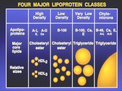 LDL:
*Metabolic products of VLDL. 
*Carry cholesterol esters almost entirely.
*ApoB100 is core protein. Also acts as the ligand for the LDL receptor.