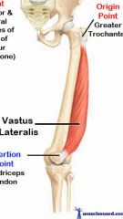 Vastus lateralis




Origin: greater trochanter, intertrochanteric crest,and linea aspera of femur

Insertion: patella and tibial tuberosity


Action: Extension at knee