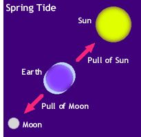 Extra strong tide from the sun & moon's gravity together