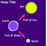 A weaker tide from the sun & moon being at right angles