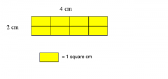 Find the area of the rectangle in square centimeters.