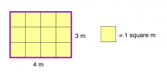 Find the area of the rectangle in square meters.