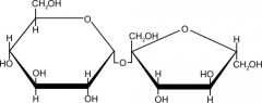 

What is this molecule? And what family is it part of?