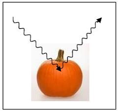 Identify what color of light is reflected when white light hits a pumpkin.