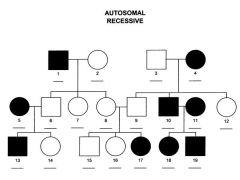 As both parents are heterozygous for the disorder, the chance of two disease alleles being inherited by one of their offspring is 25% (in autosomal dominant traits this is higher). 50% of the children (or 2/3 of the remaining ones) are carriers. W...