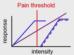 one group that encodes innocuous stimuli (Aβ, Aδ), response increases as intensity increases until you reach the pain threshold. as you move into the noxious range, the second group of fibers fire 