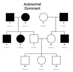 AA, AB, and BB. If AA and BB individuals (homozygotes) show different forms of some trait (phenotypes), and AB individuals (heterozygotes) show the same phenotype as AA individuals, then allele A is said to dominate or be dominant to or show domin...