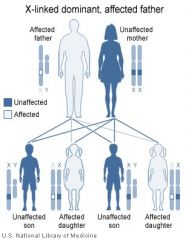 When the father alone is the carrier of a defective gene associated with a disease or disorder, he too will have the disorder. His children will inherit the disorder as follows:
Of his daughters: 100% will have the disorder, since all of his daug...