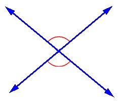 The two angles shown
        are called   ?
