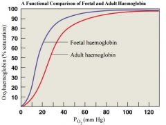 -different from adult 
- Foetal Hb binds more O2 than adult Hb • This allows foetus to take O2 from maternal blood