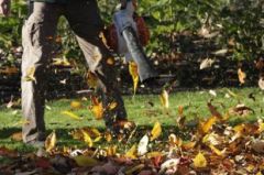 Definition: to spread or scatter freely or widely
 
Sentence: The leaf blower diffused all the leaves that were in my front lawn.