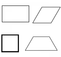 What quality do these shapes share? Shapes with this quality are called ___________.