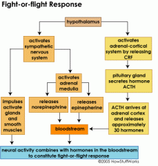 Fight-or-flight response, response to an acute threat to survival that is marked by physical changes, including nervous and endocrine changes, that prepare a human or an animal to react or to retreat. The functions of this response were first desc...