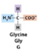 Glycine
