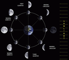 Which Phase is Full moon, or possible Eclipse?