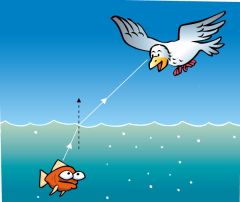 A seagull circling overhead spies a fish below, as shown in Figure 4.5.3. Construct a diagram to show where the fish appears to be when seen by the seagull.