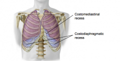 Where the diaphragmatic pleura reflects from the perimeter of the diaphragm to meet the costal pleura.
