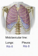 Lung: Rib 6
Pleura: Rib 8