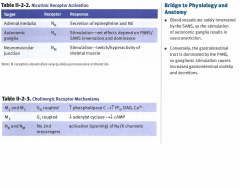Nicotinic / Cholinergic receptor mechanisms
(look at the picture)