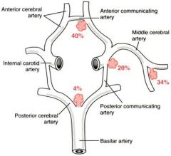 JUNCTION of ANTERIOR communicating artery and ANTERIOR cerebral artery


 


JUNCTION of POSTERIOR communicating artery and internal carotid


 


BIFURCATION of the MIDDLE cerebral artery 