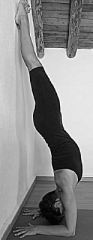 Forearm Balance 
(Peacock Tail Feather Pose)