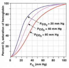 When you increase partial pressure of CO2, you decrease the amount of Hb being saturated by O2
