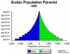 It compares percentages of populations by age and gender.