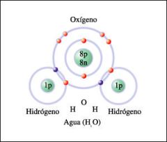Algunas propiedades del H2O. (3 o más)