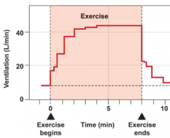 Ventilation rate
      increases as soon as exercise happens (very fast response)

Drops down
      after exercise

Ventilation
      matched to the O2
      demand that is incurred with exercise 

This is due
      to the same feed-forward effec...