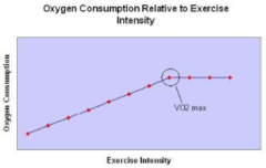 Highest rate of oxygen consumption attainable during maximal or exhaustive exercise