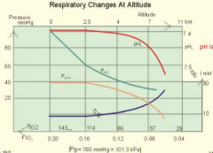 pH increases

pO2 decreases in pressure

pCO2 decreases in pressure

Ventilation increases 