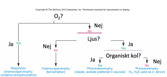 O2 - Ja = Respiration

O2 - Nej -> Ljus - Ja -> 
Org. C - Ja 
= Fotoheterotrof
Org. C - Nej 
= Fotoautotrof

O2 - Nej -> Ljus Nej
= Fermentering