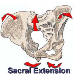 Sacral Extension:
Base moves posterior, Pelvic Rim Increased, Pelvic Outlet Recduced