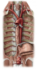It descends into the thorax between the trachea and the vertebral column located posterior to the left atrium. It exits the thorax through the esophageal hiatus at T10.
